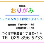 価値あるカット！つくば市観音台おりがみ